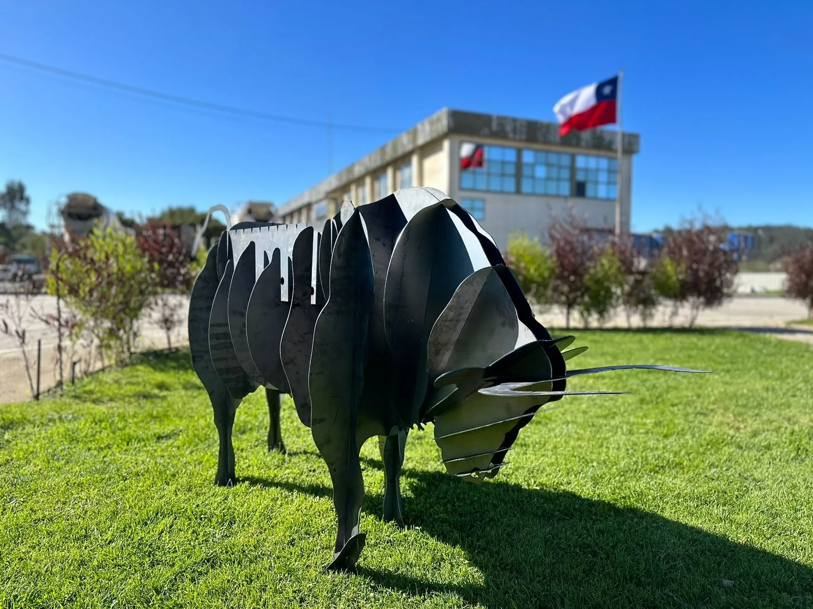 Trabajo Xar SpA Sitio Web de XAR SPA en Chile